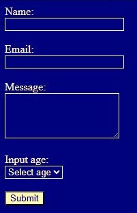 Webpage Form Web Development